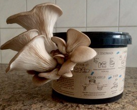 Foto 22-11-17 15 47 17